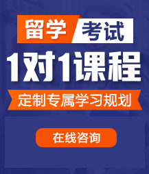 免费看操逼视频网站留学考试一对一精品课